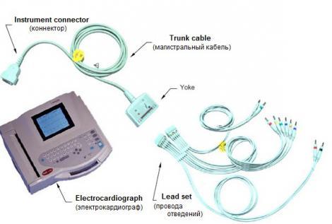 ЭКГ-кабель для электрокардиографа с отведениями